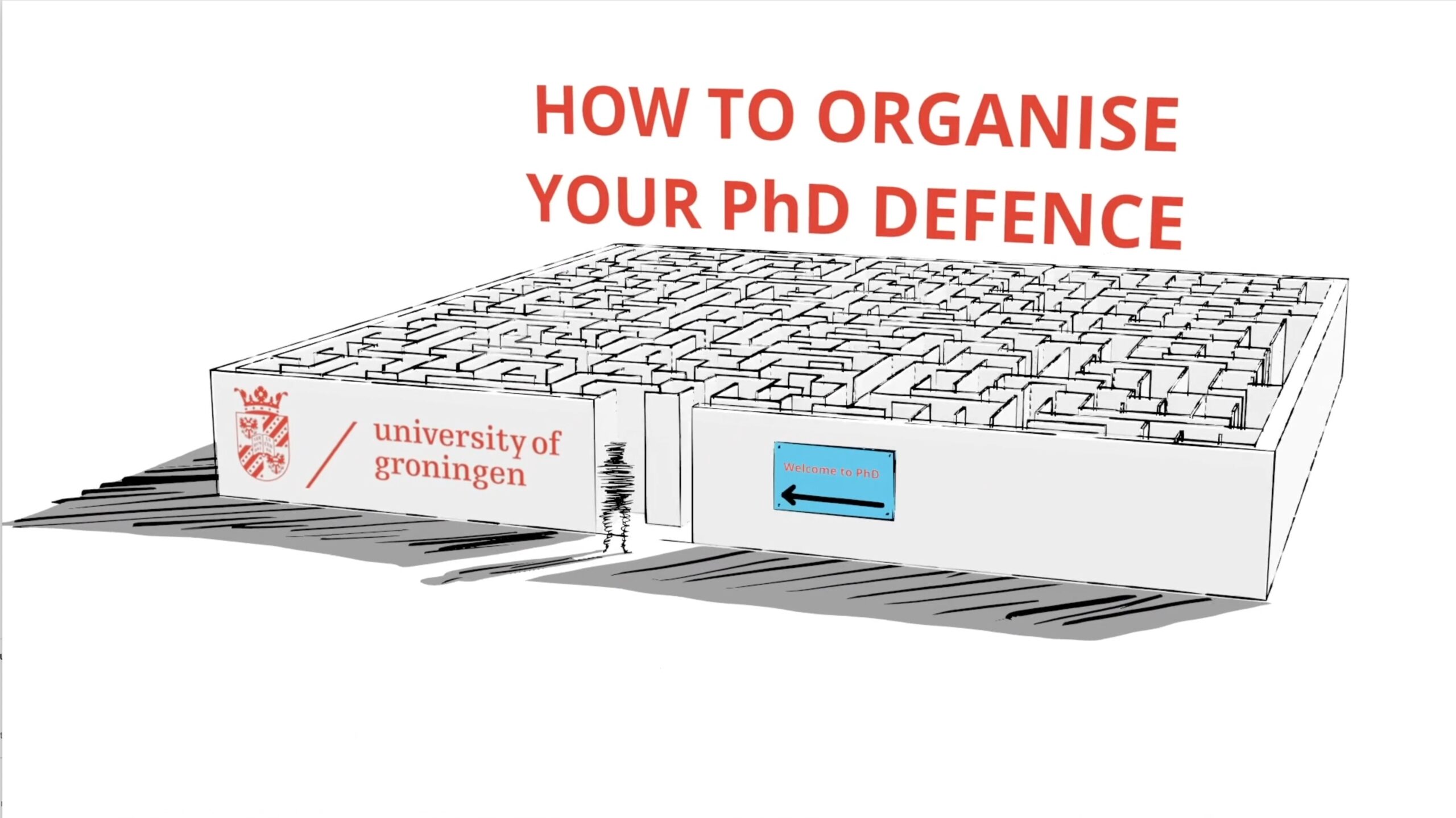 phd defense rug